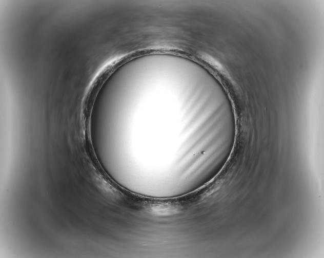 X0000087051408200705021147