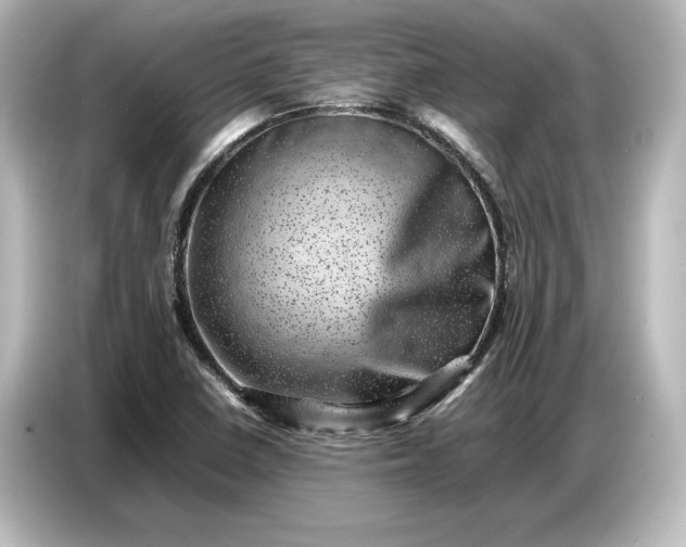 X0000087051410200705021147