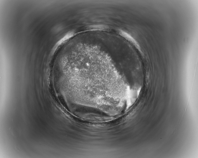 X0000087051411200705021147