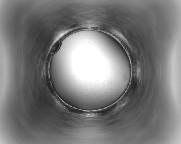 X0000087051412200705021147