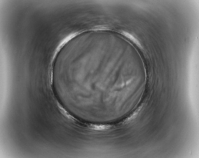 X0000087051413200705021147