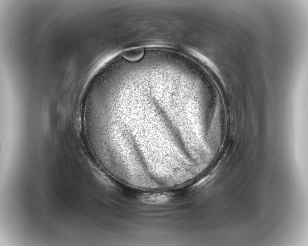 X0000087051415200705021147