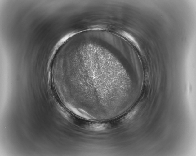 X0000087051419200705021147