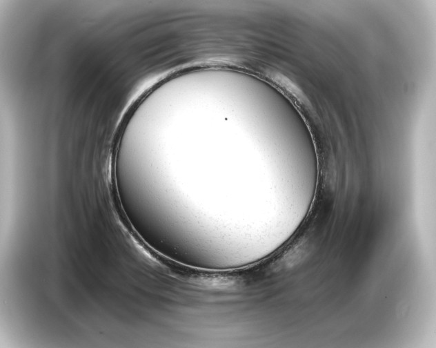 X0000087051420200705021147