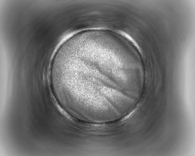 X0000087051421200705021147