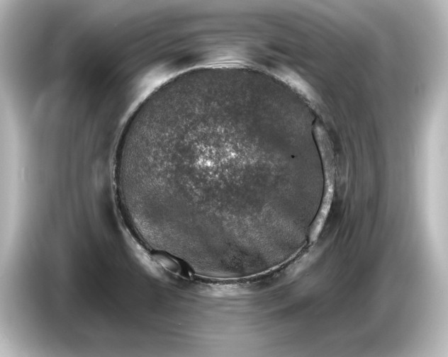 X0000087051422200705021147