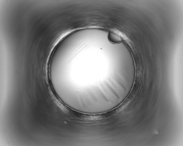 X0000087051423200705021147