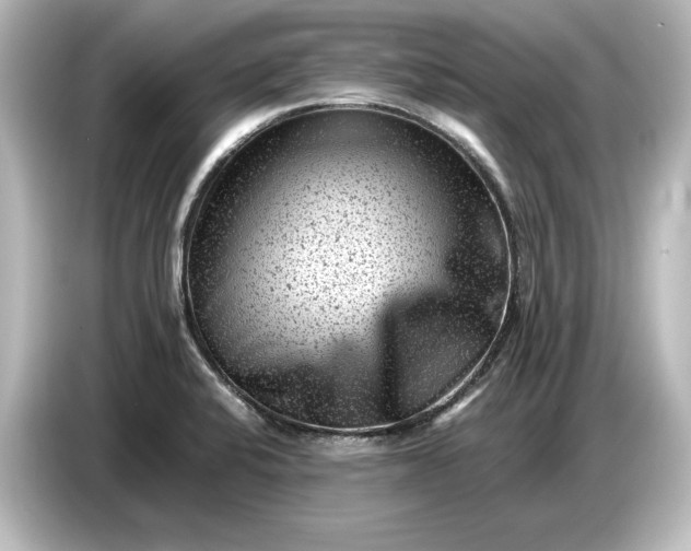 X0000087051424200705021147