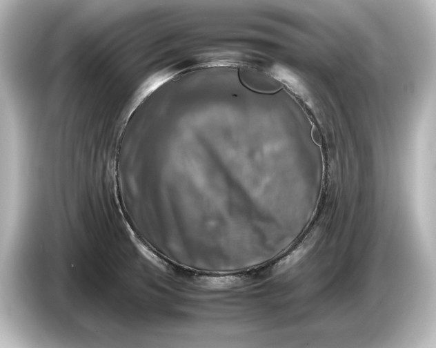 X0000087051425200705021147