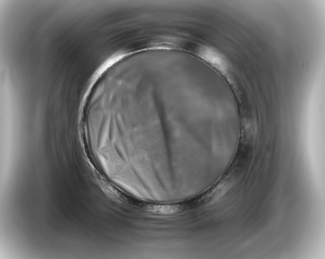 X0000087051427200705021147