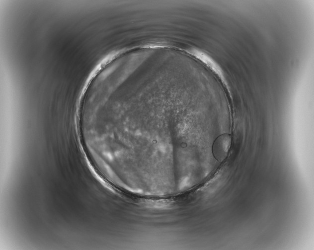 X0000087051429200705021147