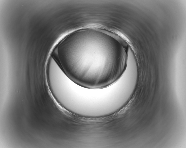 X0000087051430200705021147