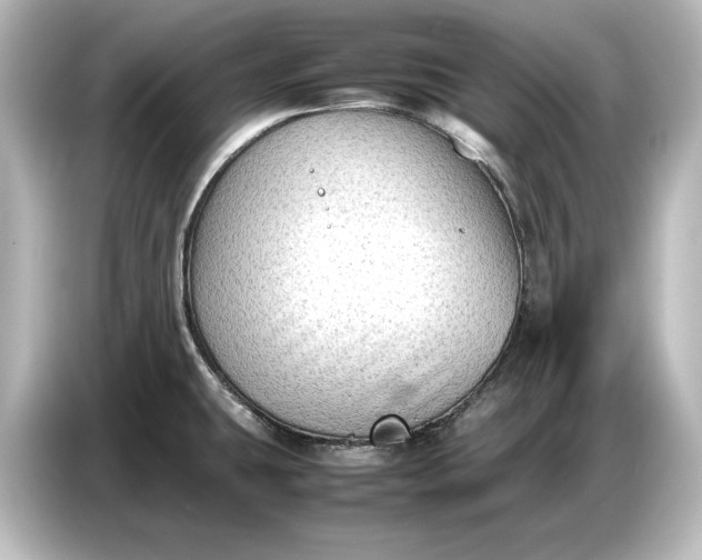 X0000087051431200705021147