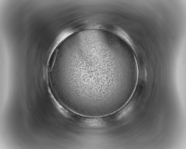 X0000087051434200705021148