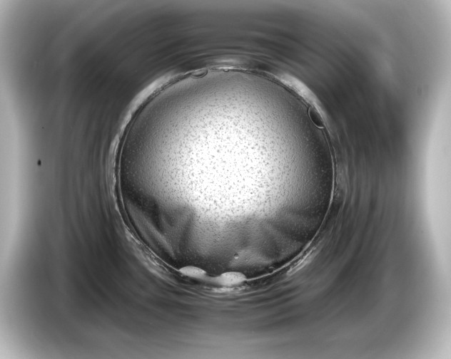 X0000087051435200705021148