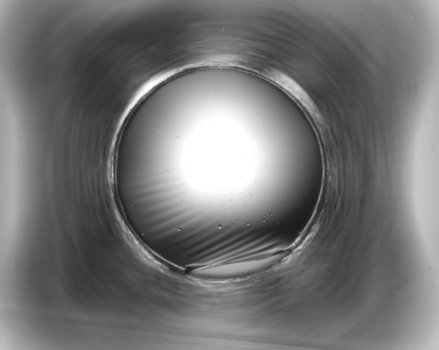 X0000087051436200705021148