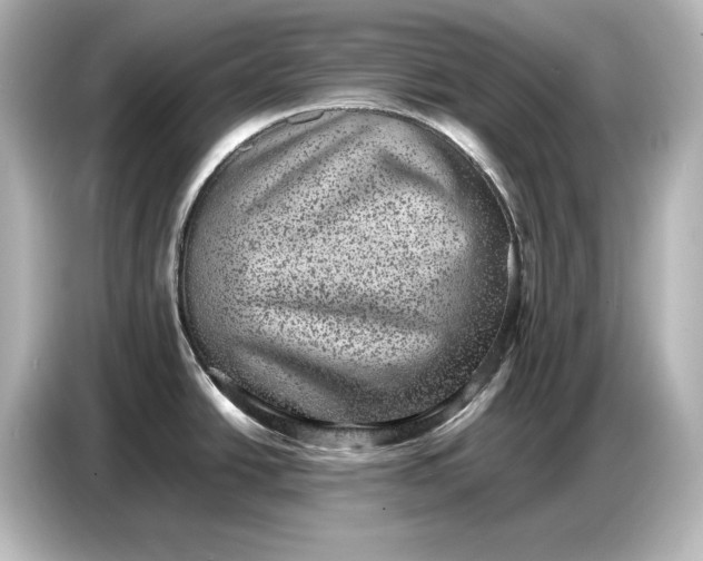 X0000087051438200705021148