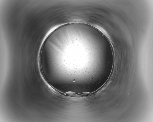 X0000087051440200705021148