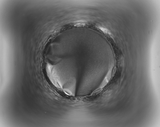 X0000087051445200705021147