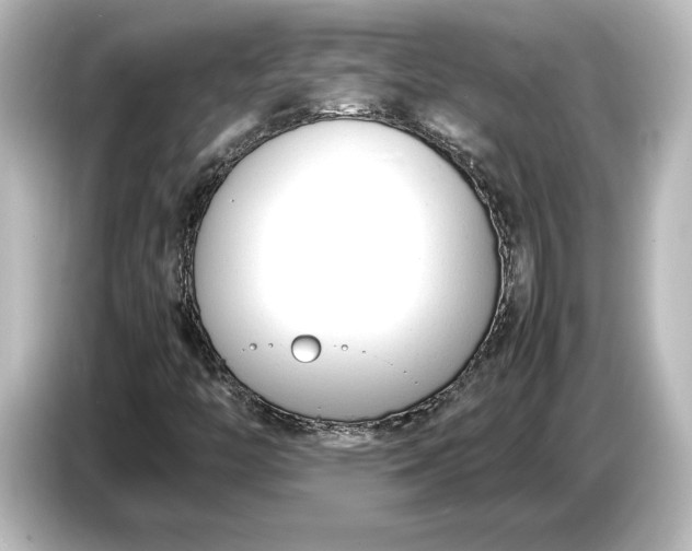 X0000087051446200705021147