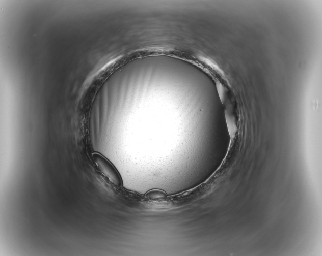 X0000087051448200705021147