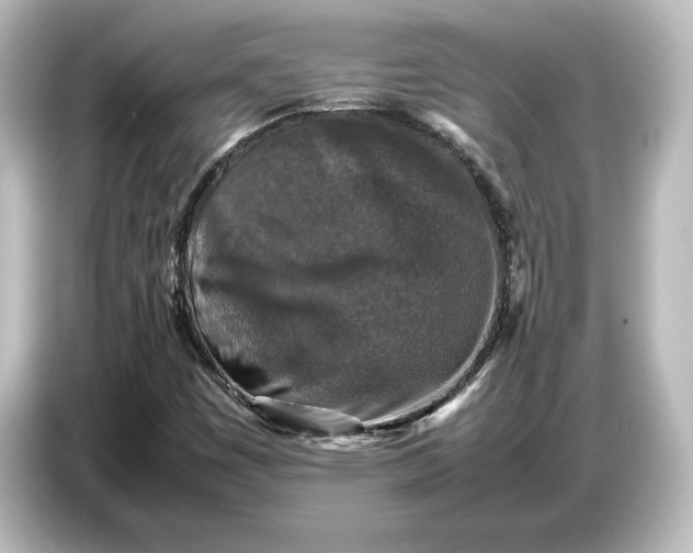 X0000087051449200705021147