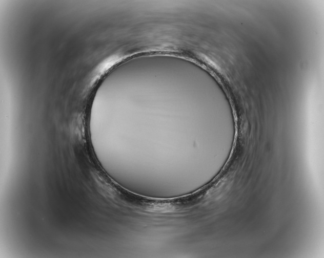 X0000087051455200705021147