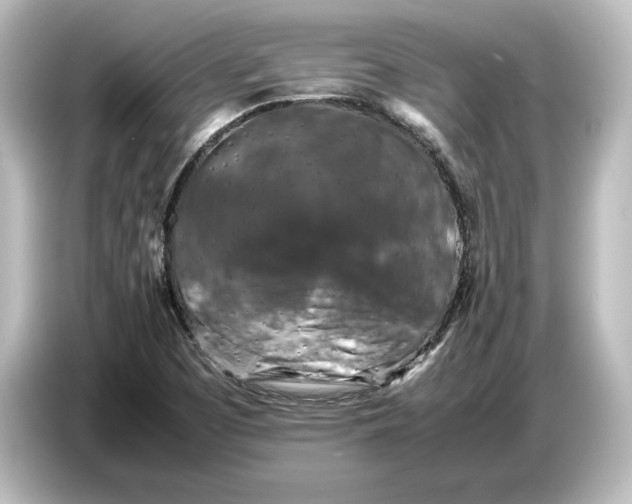 X0000087051457200705021147