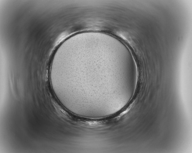 X0000087051459200705021147