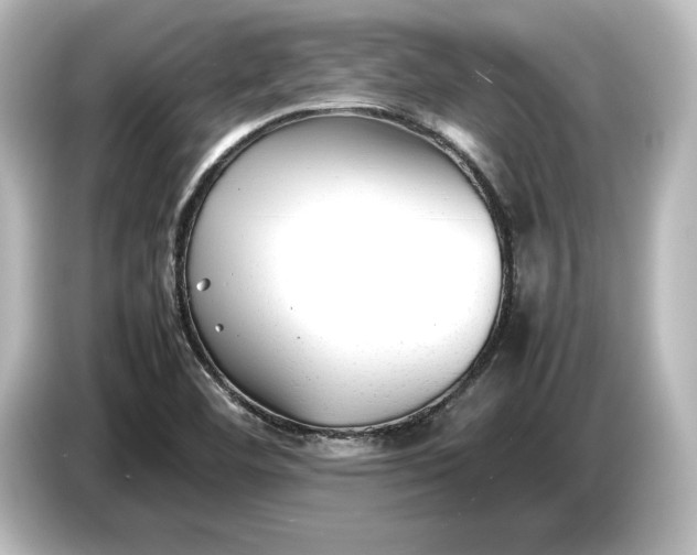 X0000087051460200705021147