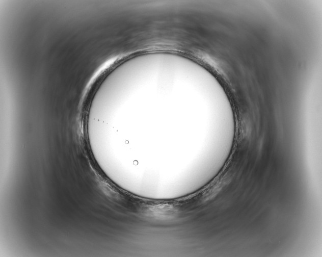 X0000087051462200705021147