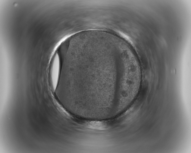 X0000087051463200705021147