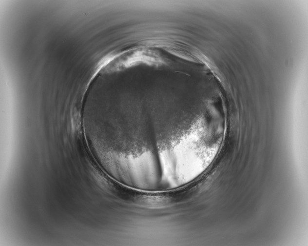 X0000087051465200705021147