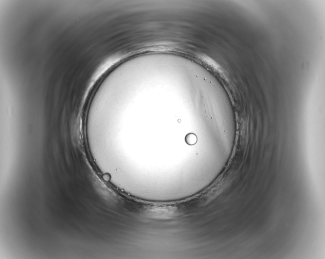 X0000087051466200705021147