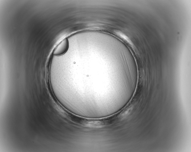 X0000087051467200705021147