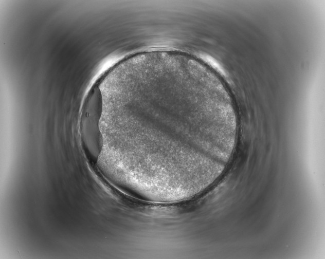 X0000087051469200705021147