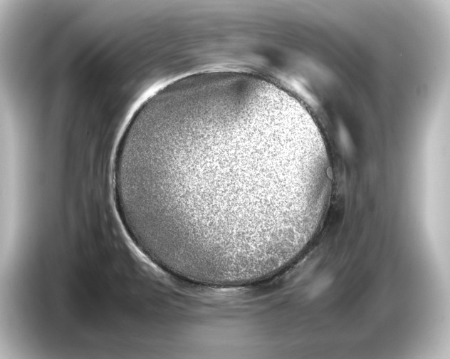 X0000087051471200705021147