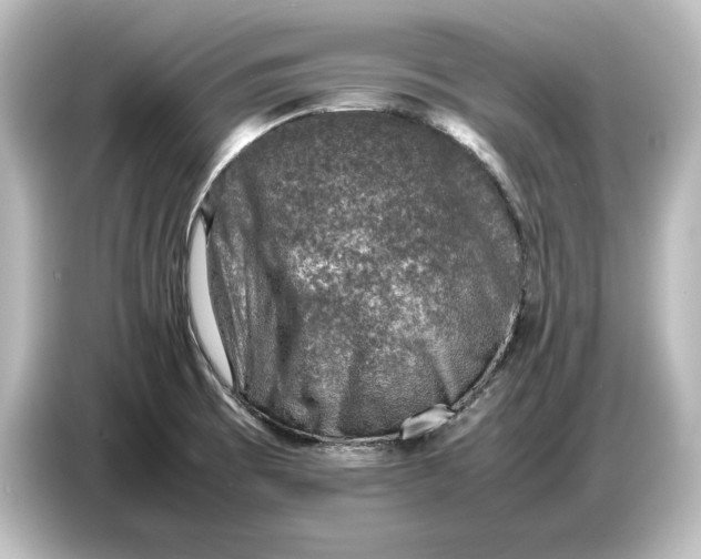 X0000087051473200705021147