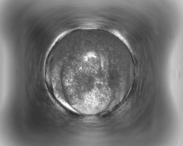 X0000087051477200705021147