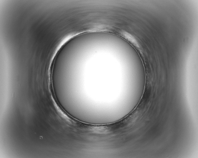 X0000087051479200705021146