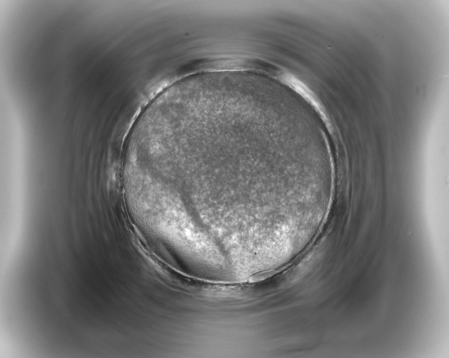 X0000087051481200705021146