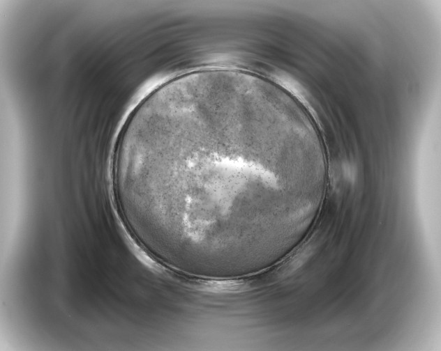 X0000087051482200705021146