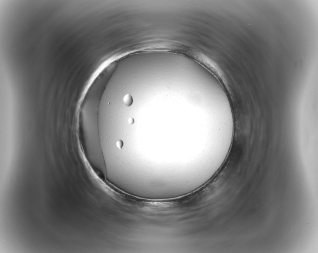 X0000087051483200705021146