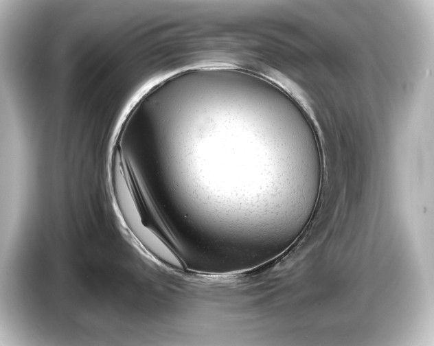 X0000087051488200705021146