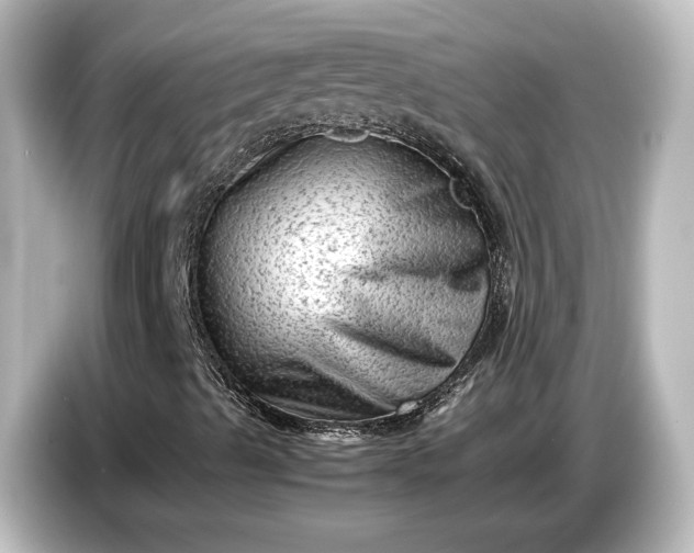 X0000087051489200705021146