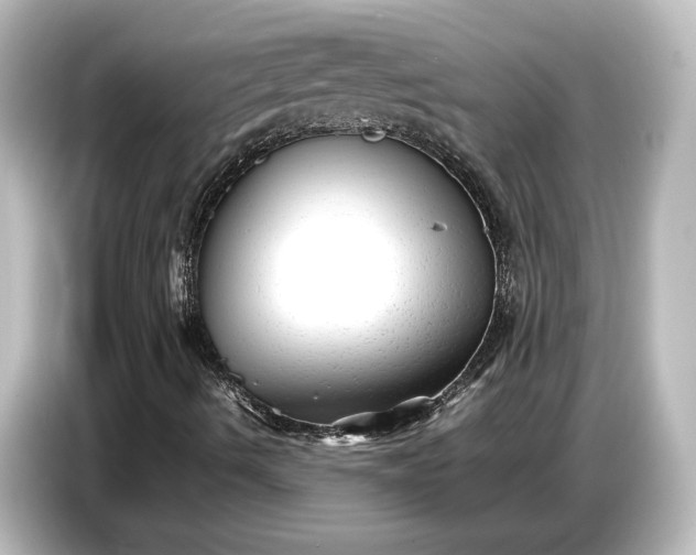 X0000087051490200705021146