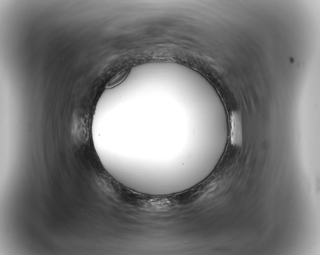 X0000087051491200705021146