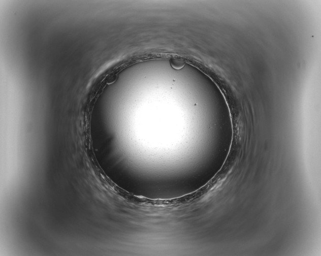 X0000087051494200705021146