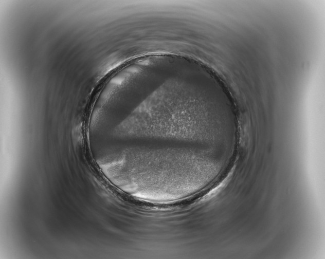 X0000087051497200705021146