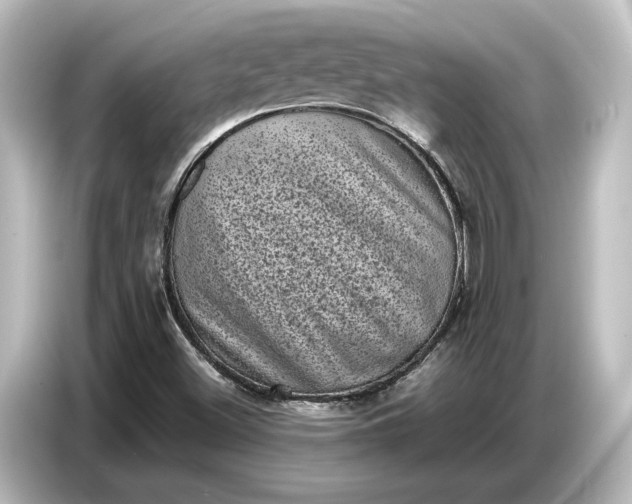 X0000087051500200705021146